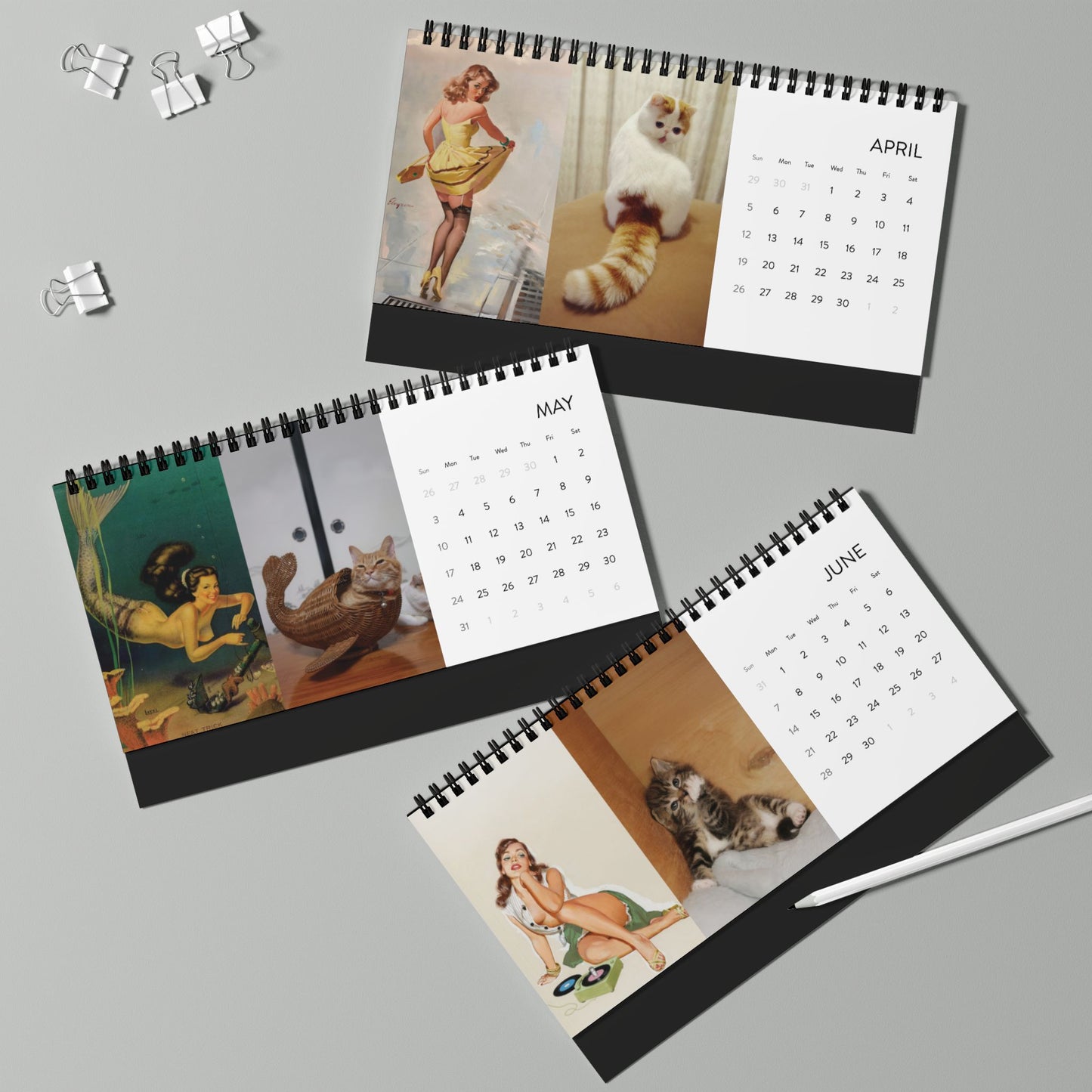 2026 Office Desktop Calendar - Cats That Look Like Pin Up Girls