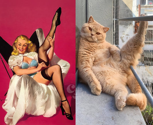 2026 Desktop Calendar - Cats That Look Like Pin Up Girls (Ships from USA)