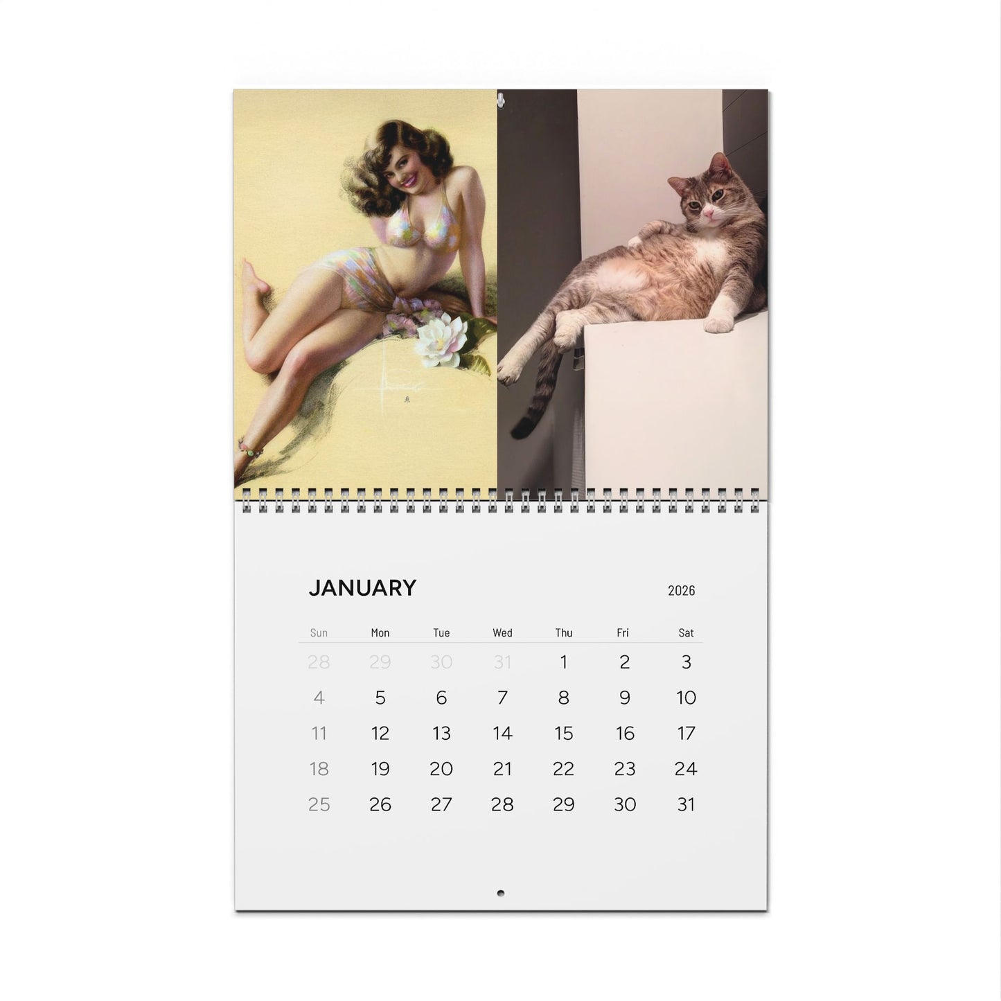 2026 Wall Calendar - Cats That Look Like Pin Up Girls (Ships from USA)