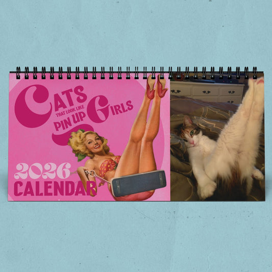 2026 Funny cat calendar Christmas gift pin up girls desk calendar office desktop