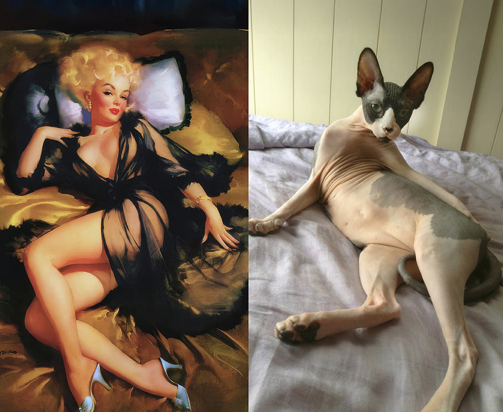 2026 Wall Calendar - Cats That Look Like Pin Up Girls (Ships from USA)