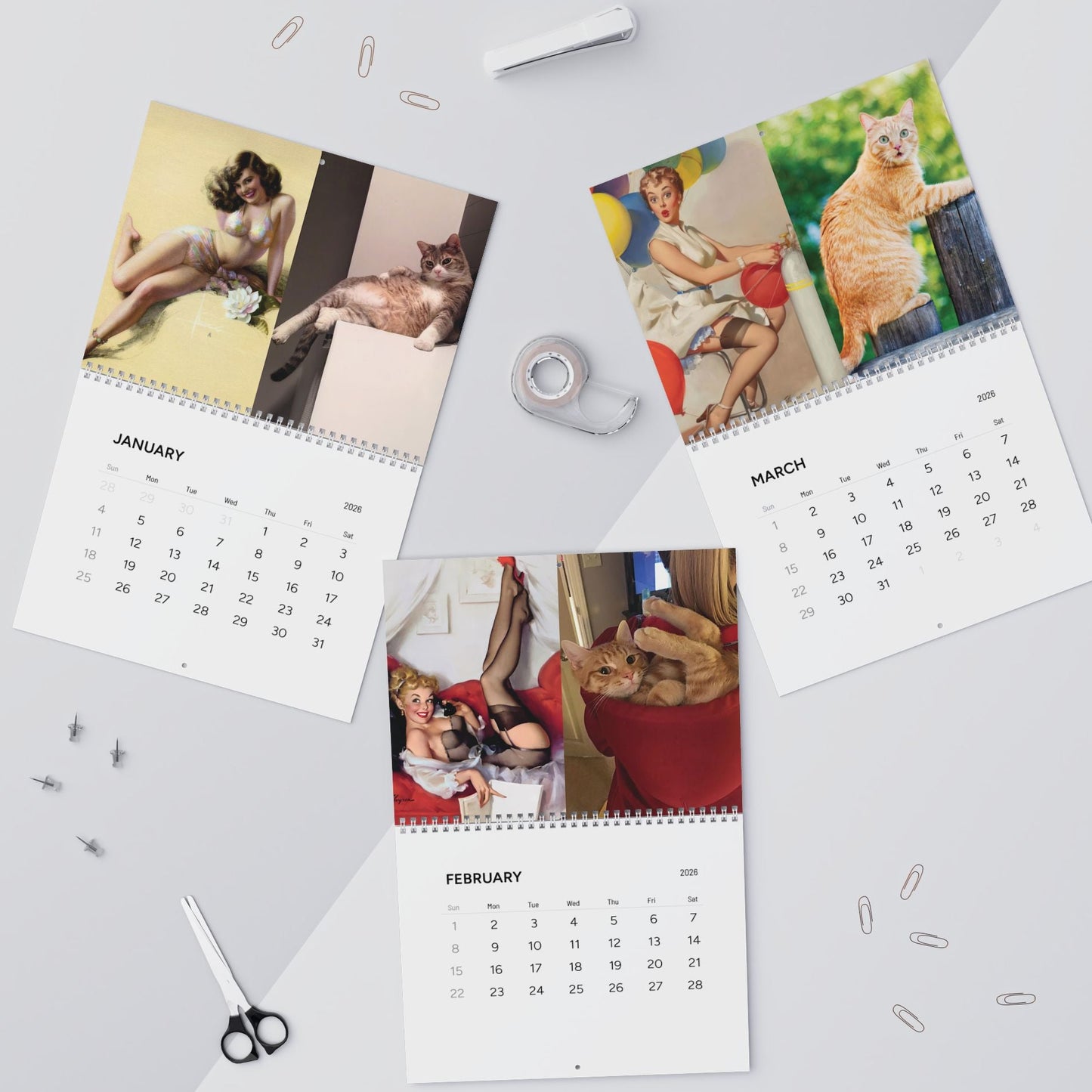 2026 Wall Calendar - Cats That Look Like Pin Up Girls (Ships from USA)